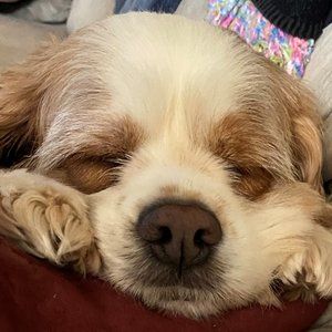 Meet your Posher, Suzanne